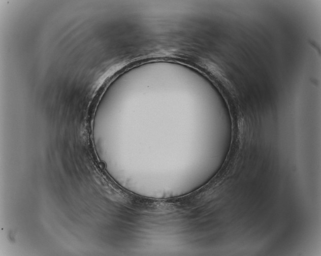 X0000102791308200809081041