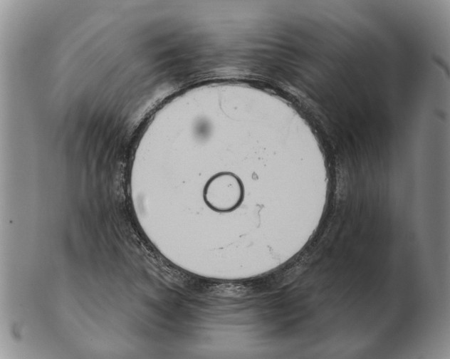 X0000102791314200809081041