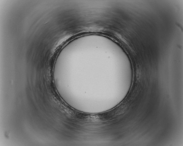 X0000102791315200809081041