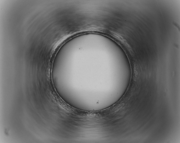 X0000102791316200809081041