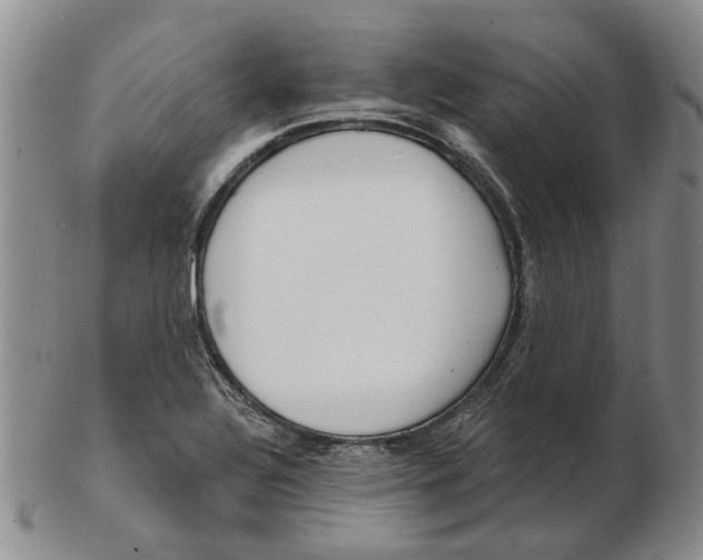 X0000102791320200809081041