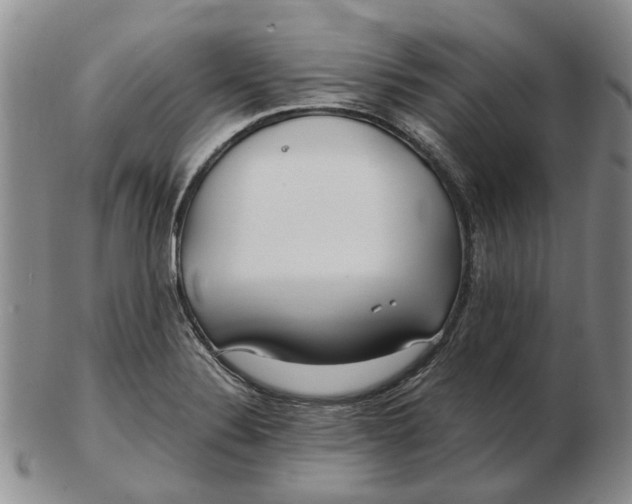 X0000102791324200809081041