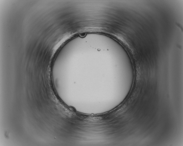 X0000102791325200809081041