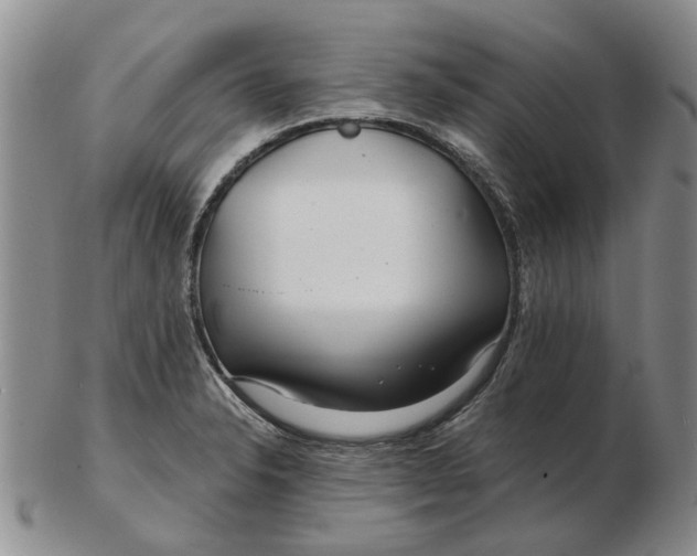 X0000102791326200809081041