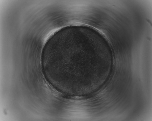 X0000102791327200809081041