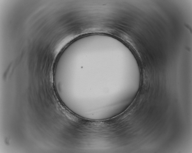 X0000102791328200809081041