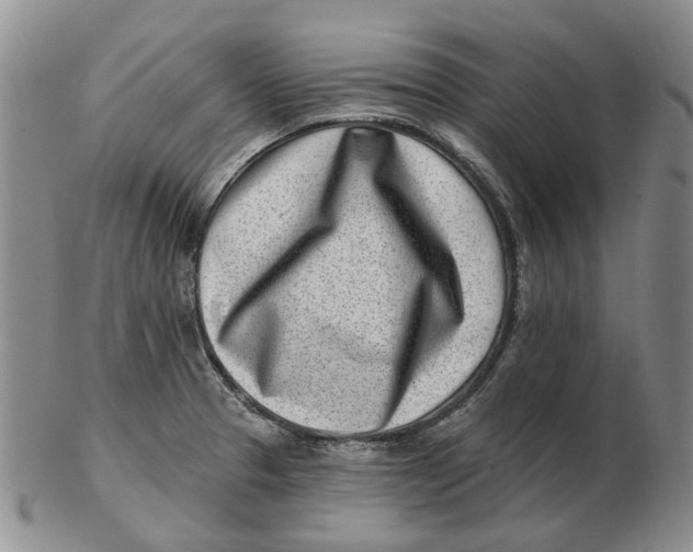 X0000102791329200809081041