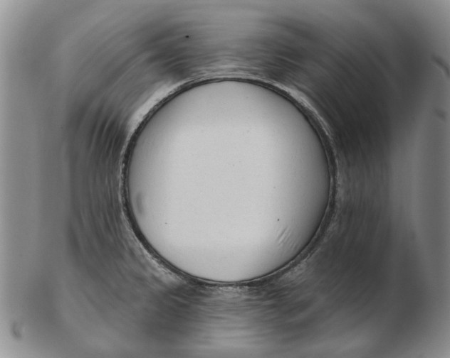 X0000102791333200809081041