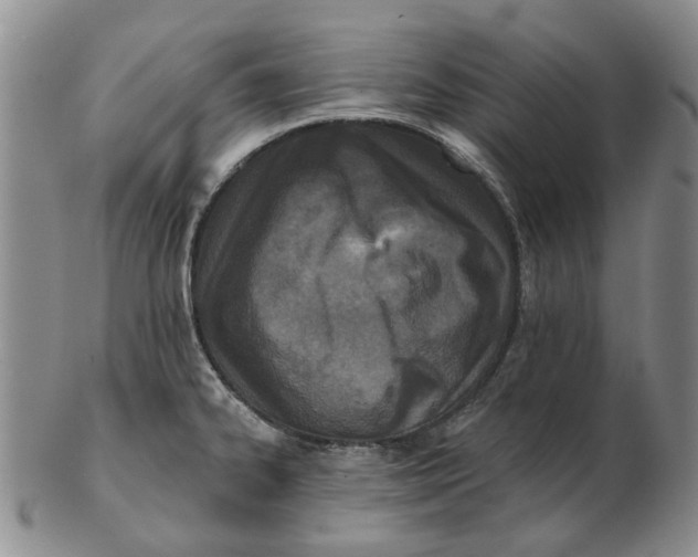 X0000102791334200809081041