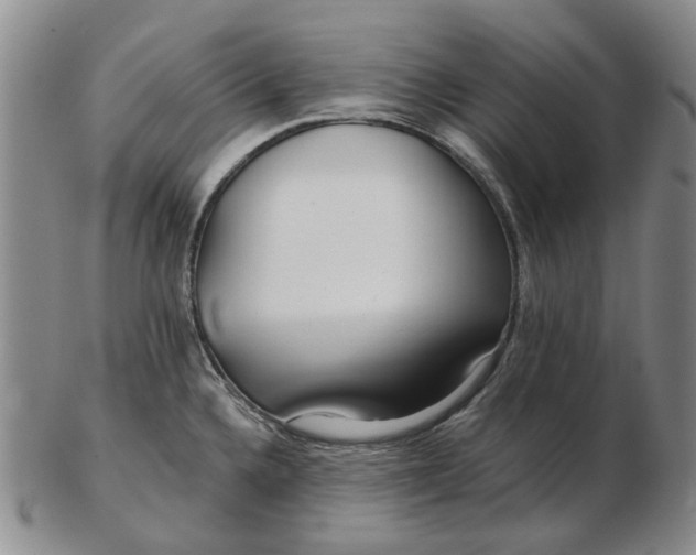 X0000102791336200809081041