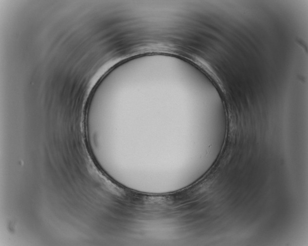 X0000102791339200809081041