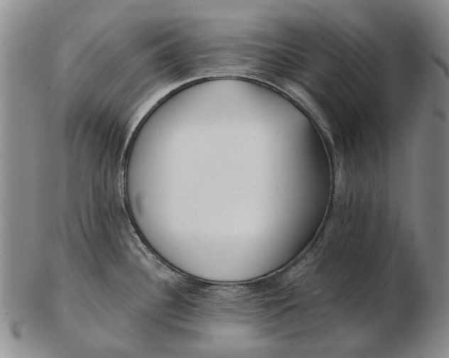 X0000102791340200809081041