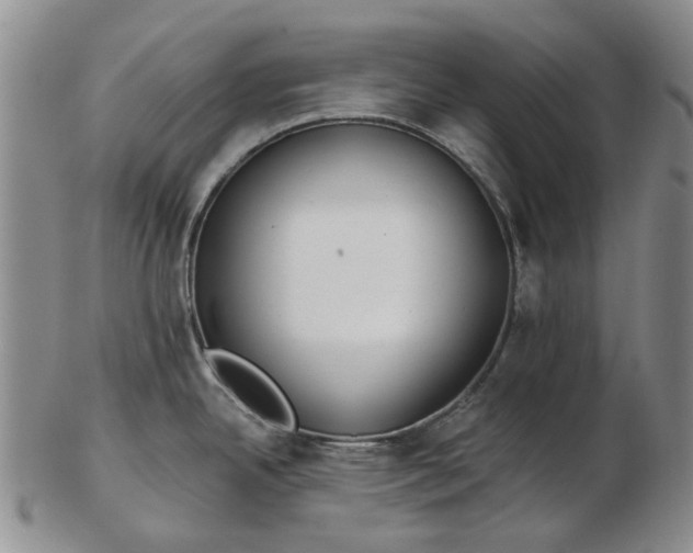 X0000102791342200809081041