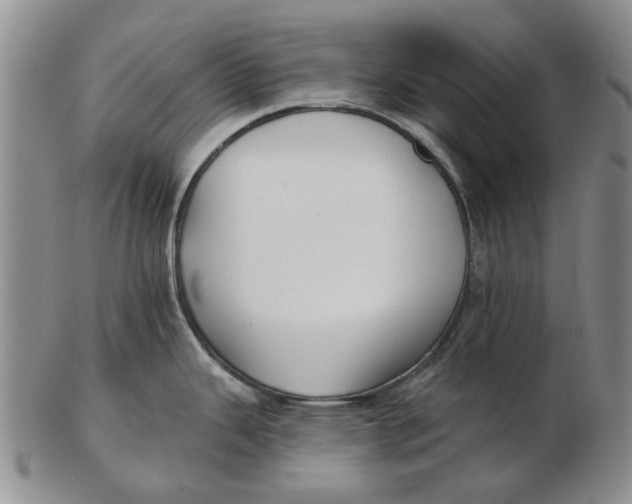 X0000102791343200809081041