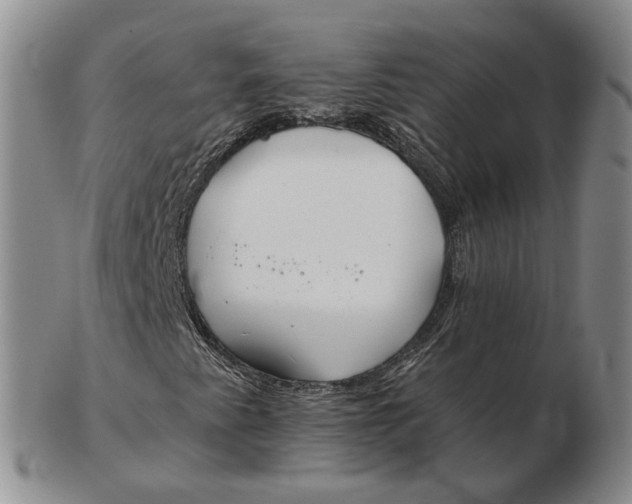 X0000102791345200809081040