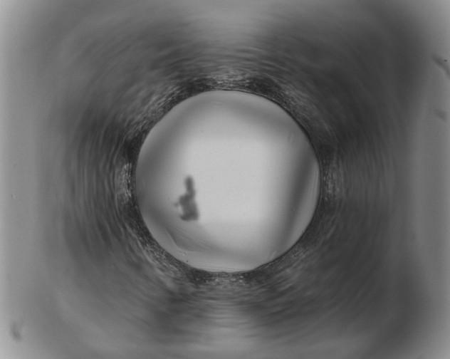 X0000102791346200809081040