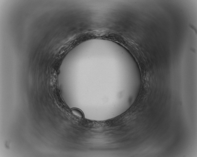 X0000102791349200809081040