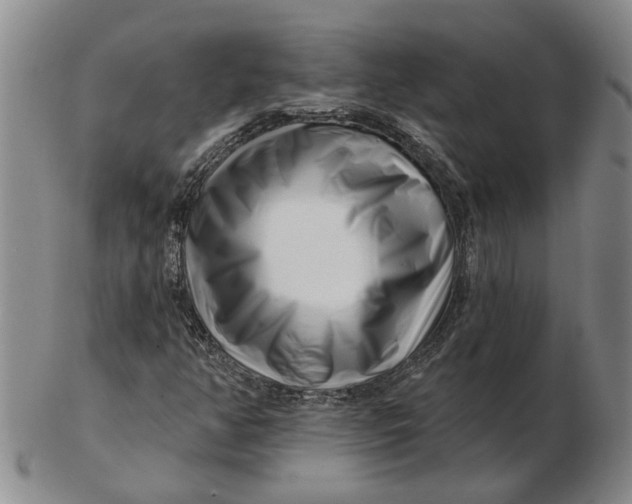 X0000102791350200809081040