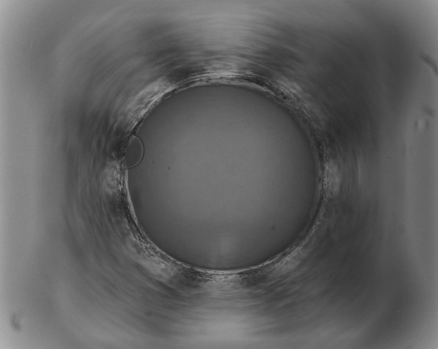 X0000102791353200809081040