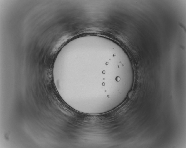 X0000102791355200809081040