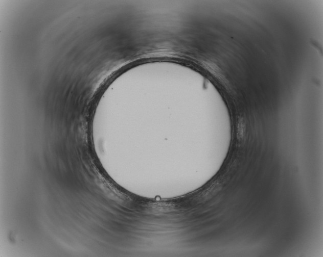 X0000102791356200809081040