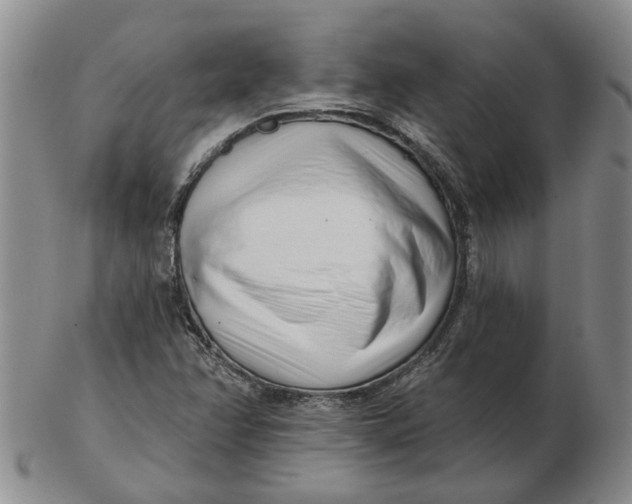 X0000102791358200809081040