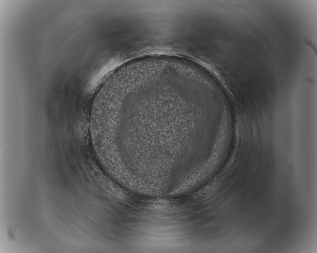 X0000102791359200809081040