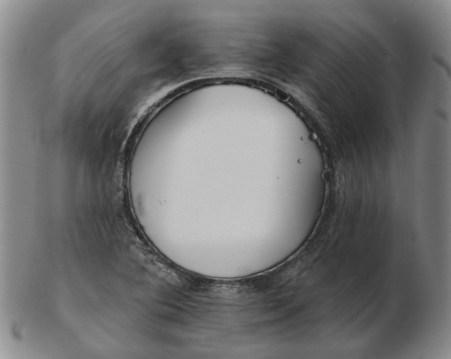 X0000102791364200809081040