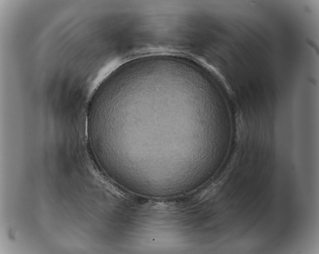 X0000102791365200809081040