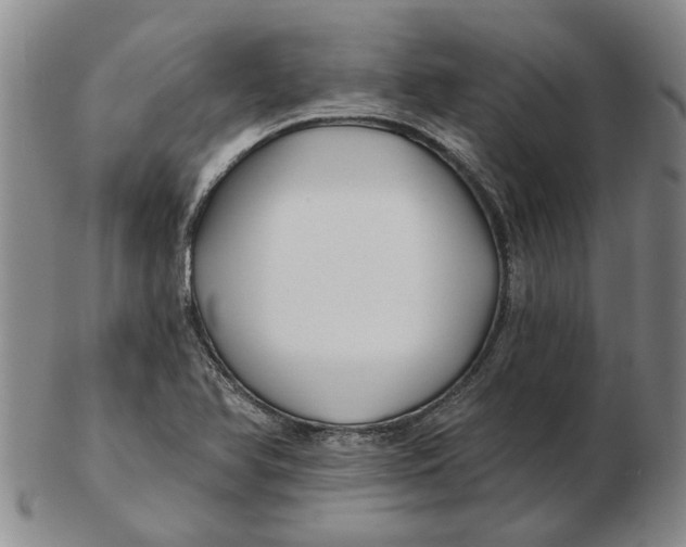 X0000102791366200809081040