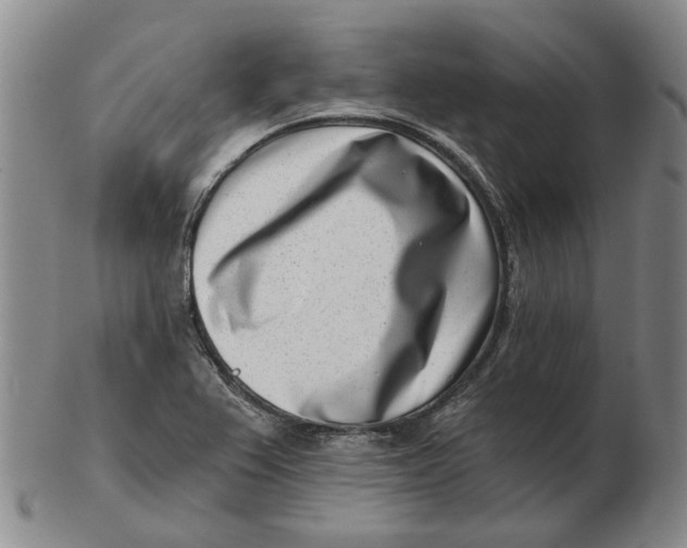 X0000102791367200809081040