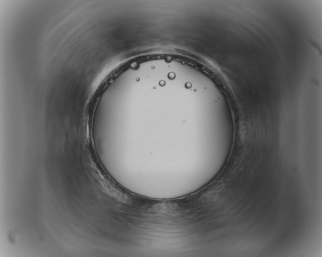 X0000102791368200809081040