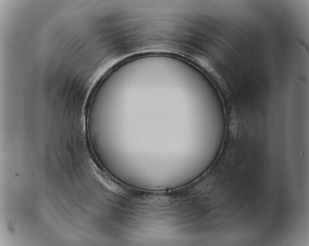 X0000102791372200809081040