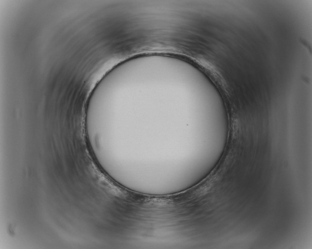 X0000102791374200809081040