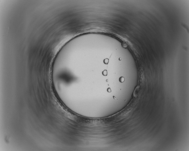 X0000102791375200809081040