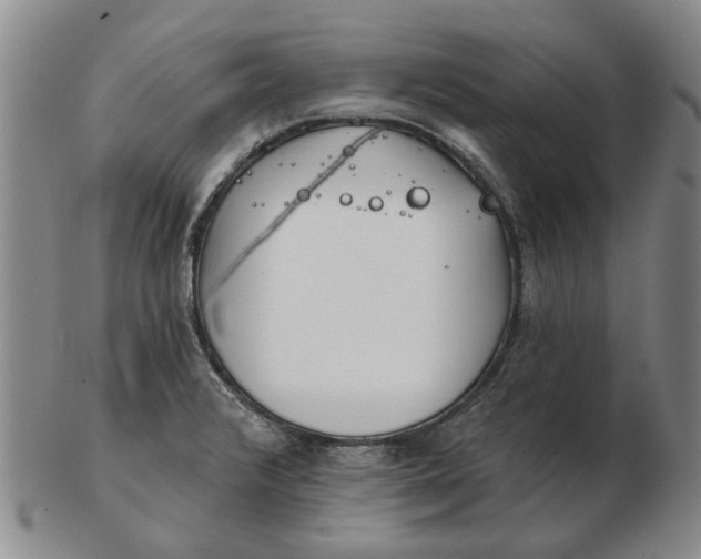 X0000102791376200809081040