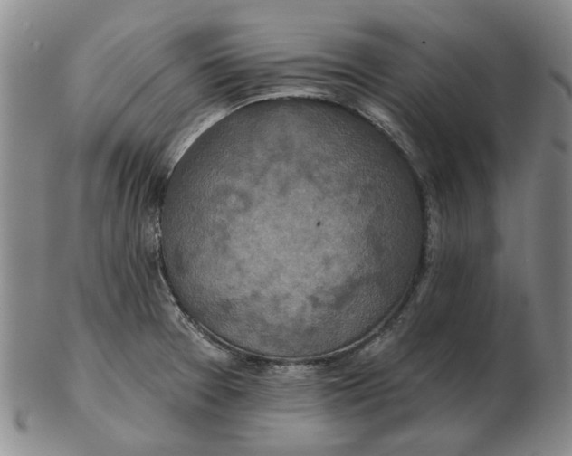 X0000102791377200809081040