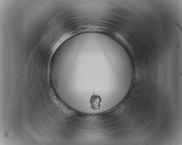 X0000102791378200809081040