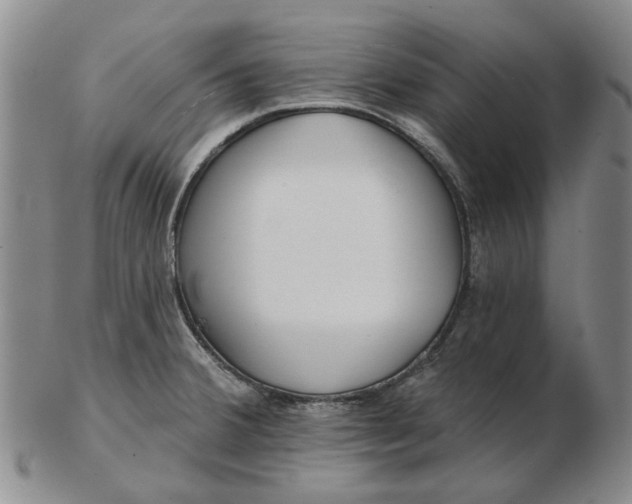 X0000102791380200809081040