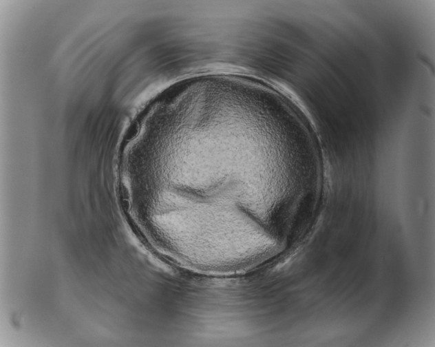 X0000102791381200809081040