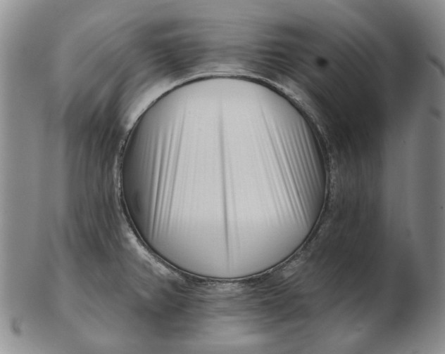 X0000102791382200809081040