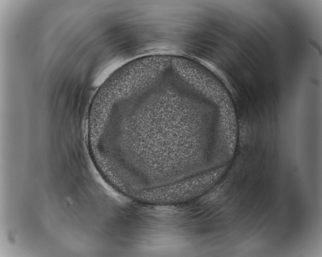 X0000102791383200809081040