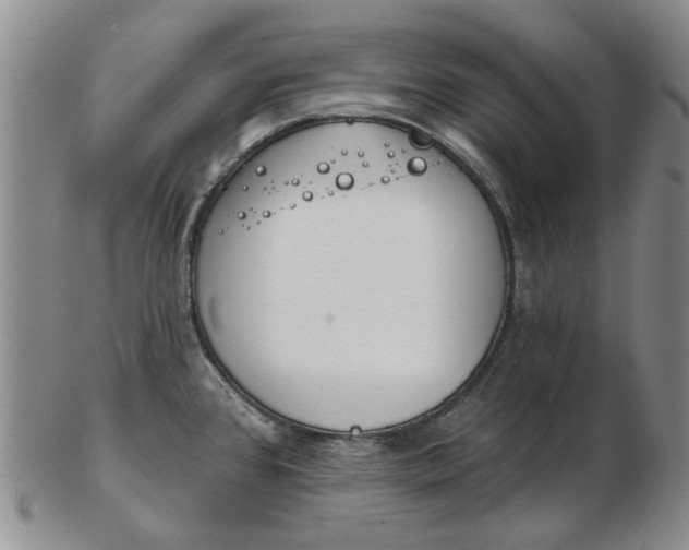 X0000102791384200809081040