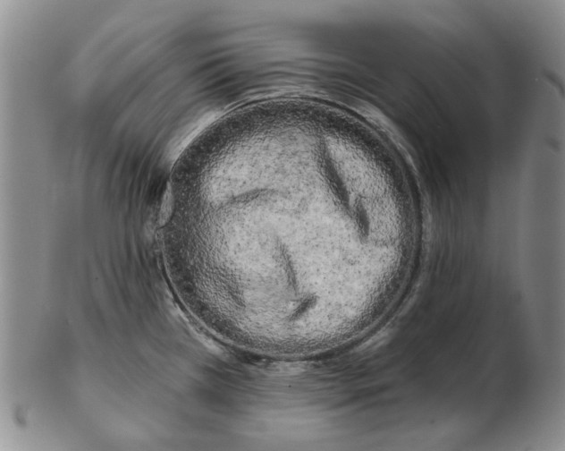 X0000102791385200809081040