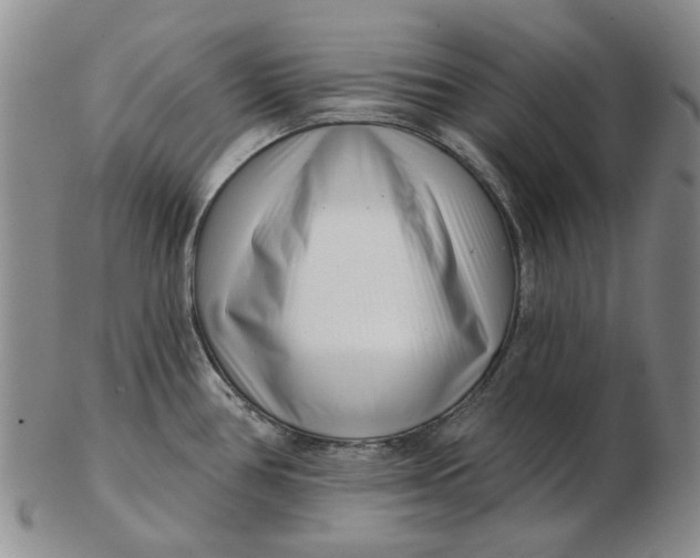 X0000102791386200809081040