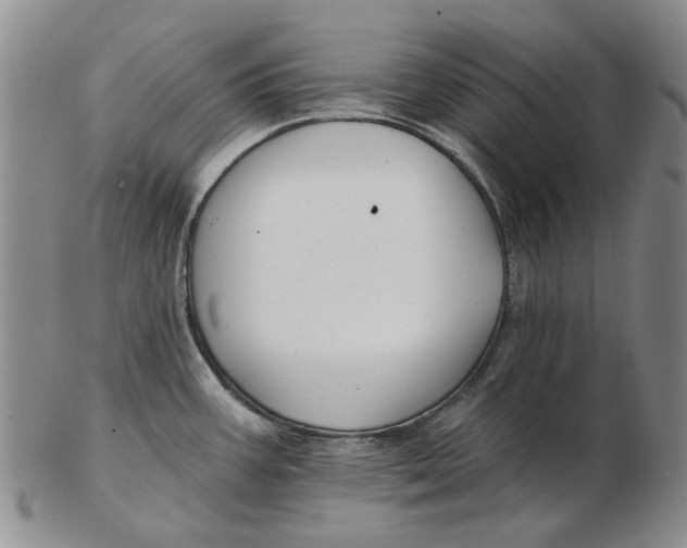 X0000102791387200809081040