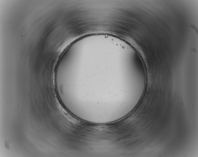 X0000102791388200809081040