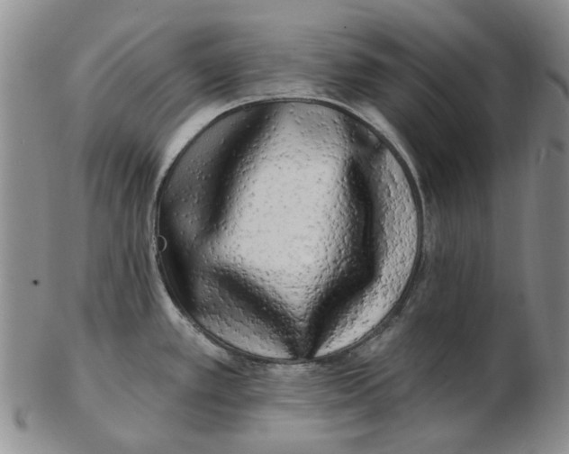 X0000102791389200809081040