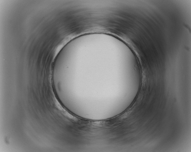 X0000102791390200809081040