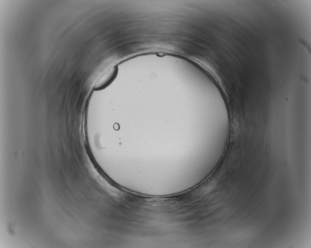 X0000102791391200809081040